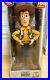 Disney_Store_Toy_Story_20th_Doll_LE_400_Talking_Woody_Action_Figure_01_svs