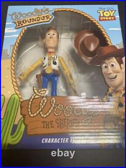 Disney Toy Story Exclusive Goods Woody Premium Figure Stuffed Doll