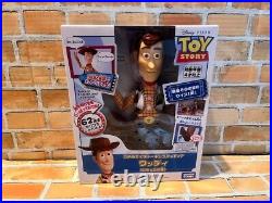 Disney Toy Story Woody Real Size Talking Action Figure Remix Ver. English Japan