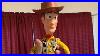 Final_Screen_Accurate_Woody_01_djy