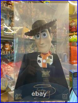 Hong Kong Exclusive Toys Story Woody Pvc Doll Herocross Toy Hvb 001 Decoration