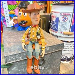 Japanese Edition Toy Story Collection Signature Woody rare