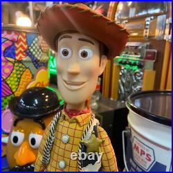 Japanese Edition Toy Story Collection Signature Woody rare