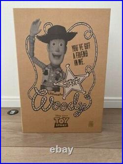 Medicom Toy Toy Story Ultimate Woody Pride Non Scale Action Figure Doll
