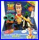 New_Sealed_Hasbro_Toy_Story_And_Beyond_Wild_West_Adventurer_Woody_2003_Very_Rare_01_bamv