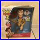 Toy_Story3_Figure_Woody_New_English_Version_Doll_Super_Rare_From_Japan_F_S_01_sq