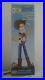 Toy_Story_2_Roundup_Woody_Color_Version_Young_Epoch_Pixar_Movie_Figure_Doll_01_ij