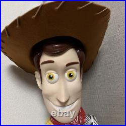 Toy Story 2 Woody Doll Figure Plush US #205a48