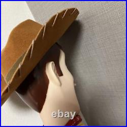 Toy Story 2 Woody Doll Figure Plush US #205a48