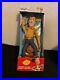 Toy_Story_3_Disney_Parks_Exclusive_Talking_Woody_15_Inch_Doll_New_In_Box_01_awt