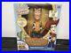 Toy_Story_Collection_Woody_Doll_Boxed_With_Certificate_Stand_Rare_01_dxs