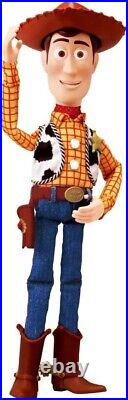 Toy Story Real Size Talking Figure Woody Remix Version Takara Tomy Disney New JP