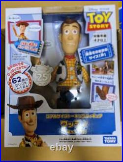 Toy Story Real Size Talking Figure Woody Remixed Version