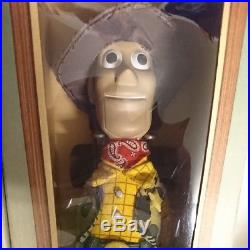 Toy Story Roundup Woody & Jessie Figure Doll Young Epoch Disney Pixar