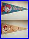 Toy_Story_Roundup_Woody_Pennant_Flag_Things_At_That_Time_Limited_Edition_01_dnf