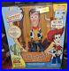 Toy_Story_Signature_Collection_Sheriff_Woody_Talking_Figure_NIB_01_hay