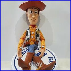 Toy Story Talking Pull String Sheriff Woody & Hat Thinkway Toys christmas