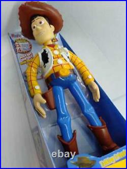 Toy Story Woody 22Cm Instant #1