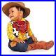 Toy_Story_Woody_Cowboy_Costume_Costume_01_aast