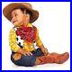 Toy_Story_Woody_Cowboy_Costume_Costume_01_zol