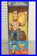 Toy_story_talking_pull_string_woody_parlant_doll_figure_01_dkft