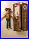 Very_Rare_Toy_Story_Lost_Property_Woody_Doll_Not_Available_In_Shops_Disney_Pixar_01_jyz