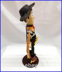 Young Epoch 859426-31543 Woody Toy Story Disney